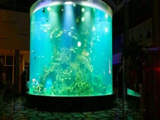 china aangepaste goedkope super grote ronde pmma glazen aquaria duidelijke cilinder acryl aquariums