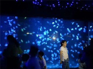 2018 acryl kwallen aquarium tankglas
