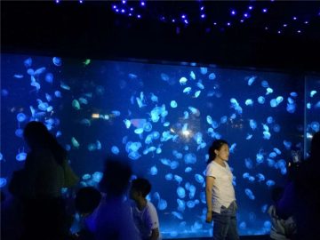 2018 acryl kwallen aquarium tankglas