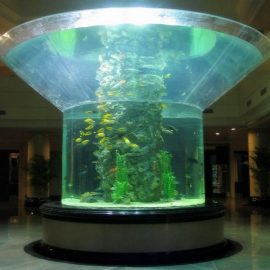 pmma glazen aquarium half cilinder perspex heldere aquarium