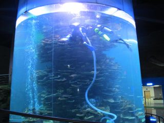 duidelijke acrylcilinder grote vissentank voor aquariums of oceaanpark