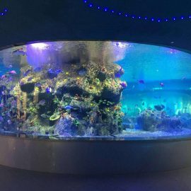 fabriekslevering viskommen, ronde glazen aquariums
