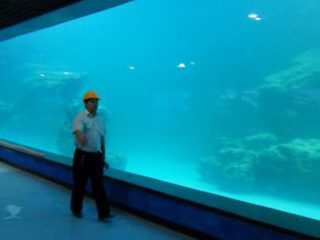 Gegoten muur UV acryl paneel voor aquarium, oceanarium