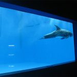 Hoogwaardig groot acrylaquarium / zwembadraam onder water met dikke ramen