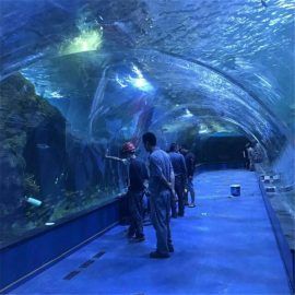 Acrylic tunnel oceanarium project in openbare aquaria
