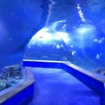 Clear pmma acryl Grote plastic tunnel van aquarium