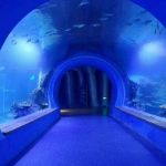 Zeer helder groot acryltunnel aquarium van verschillende vormen