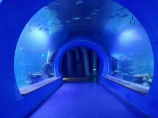 Zeer helder groot acryltunnel aquarium van verschillende vormen