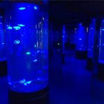 acryl kwallen aquarium tankglas